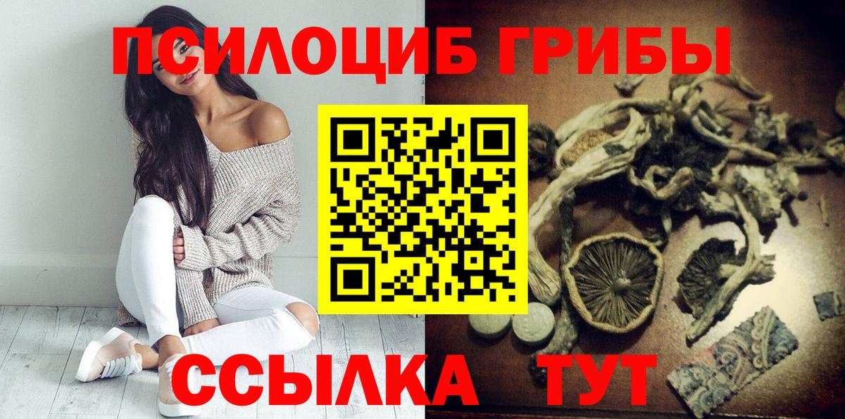 Псилоцибиновые грибы Psilocybe Вязьма