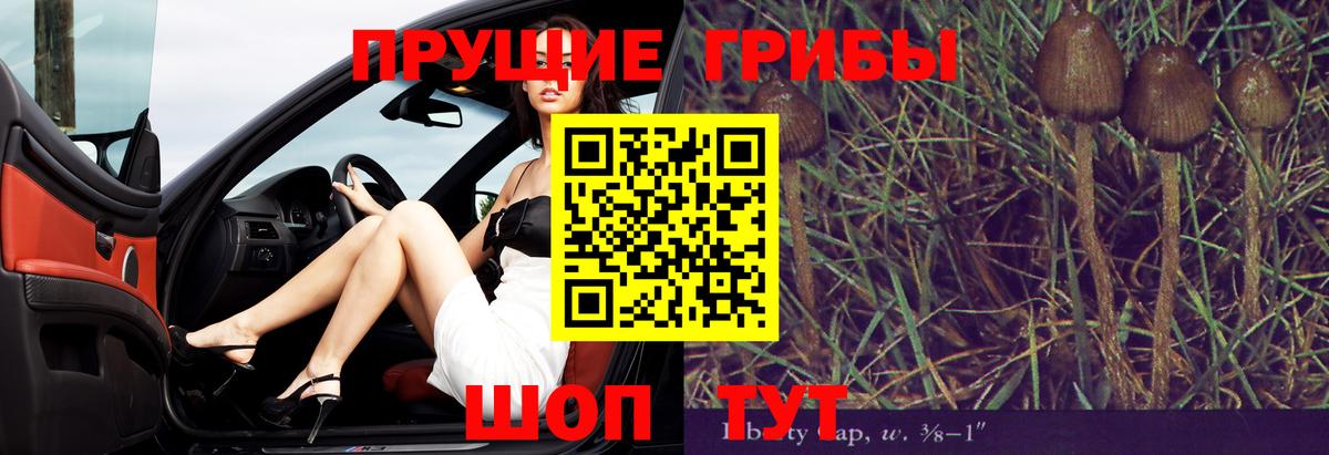 Галлюциногенные грибы мицелий  Вход с VPN  Вязьма 